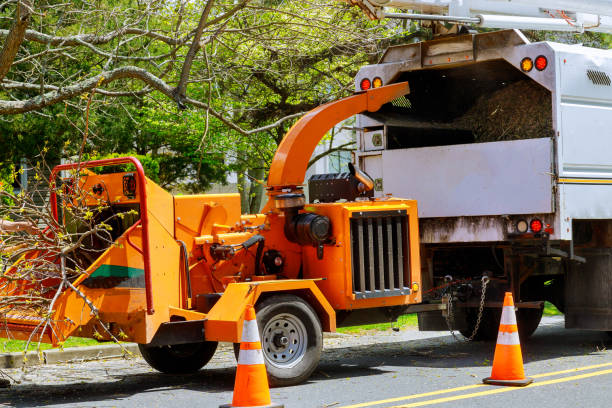 How Our Tree Care Process Works  in  Moravian Falls, NC